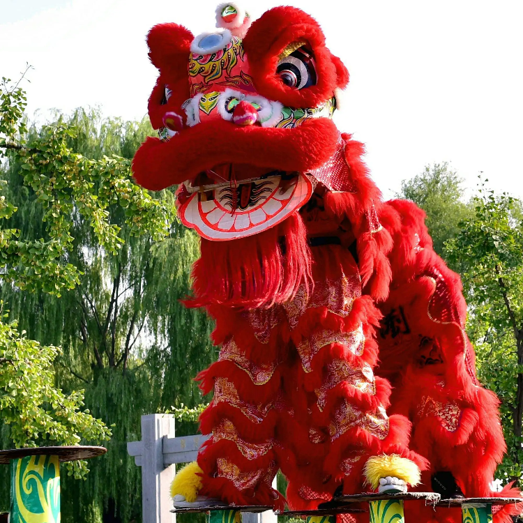 Chinese Lion Dance Outfit