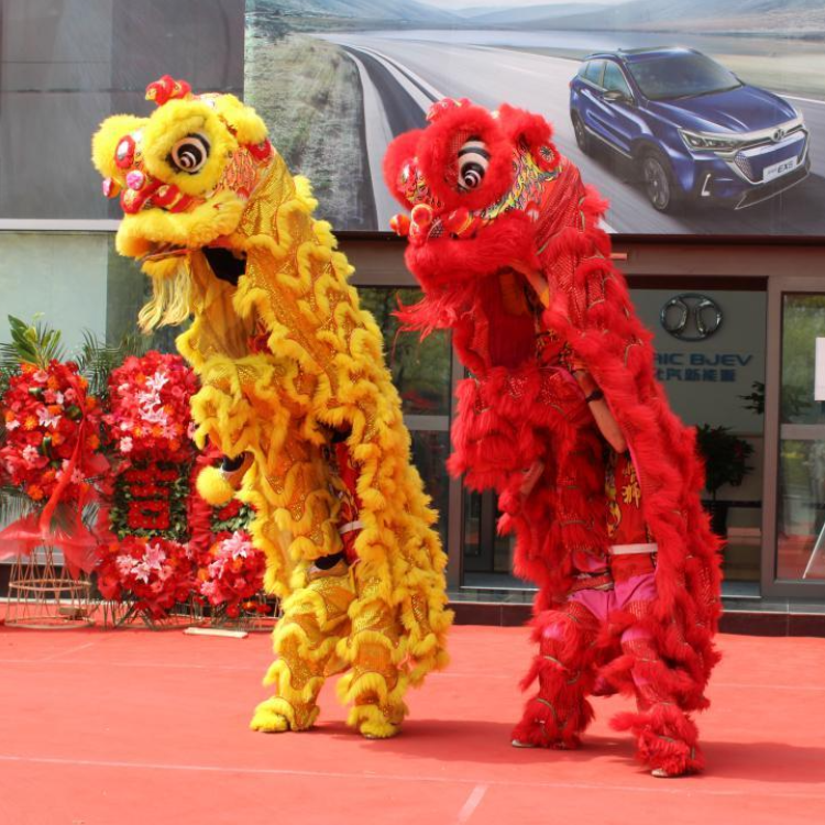 Chinese Lion Dance Outfit